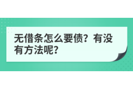 金湖为什么选择专业追讨公司来处理您的债务纠纷？